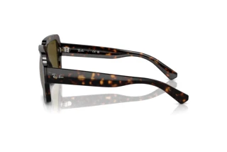Widok z boku Ray-Ban MAGELLAN (RB4408 - 135973)