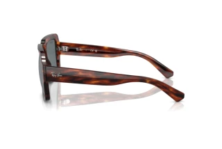 Widok z boku Ray-Ban MAGELLAN (RB4408 - 139880)