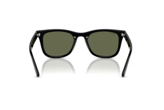 Widok z tyłu Ray-Ban RB4420 (601/9A)