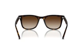 Widok z tyłu Ray-Ban RB4420 (710/13)