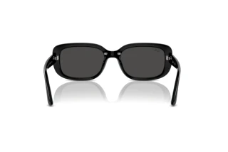 Widok z tyłu Ray-Ban RB4421D (667787)
