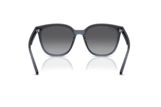 Widok z tyłu Ray-Ban RB4423D (6592T3)