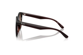 Widok z boku Ray-Ban RB4423D (714/13)