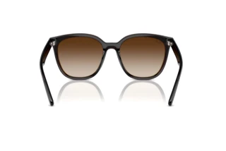 Widok z tyłu Ray-Ban RB4423D (714/13)