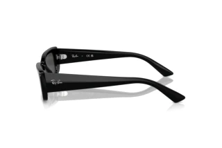 Widok z boku Ray-Ban TERU (RB4425 - 667787)