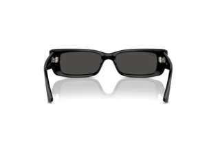 Widok z tyłu Ray-Ban TERU (RB4425 - 667787)