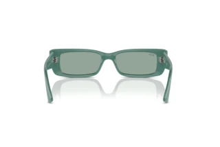 Widok z tyłu Ray-Ban TERU (RB4425 - 676282)