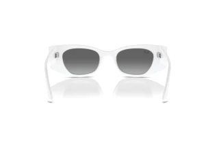 Widok z tyłu Ray-Ban KAT (RB4427 - 675911)