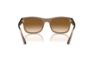Widok z tyłu Ray-Ban RB4428 (664051)