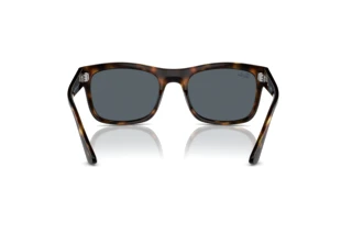 Widok z tyłu Ray-Ban RB4428 (710/R5)