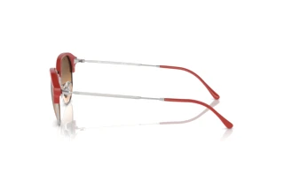 Widok z boku Ray-Ban RB4429 (67223B)