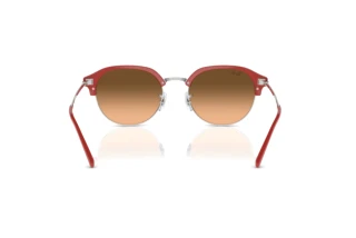 Widok z tyłu Ray-Ban RB4429 (67223B)