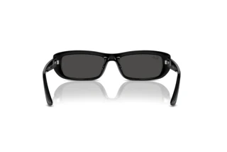 Widok z tyłu Ray-Ban RB4436D (667787)