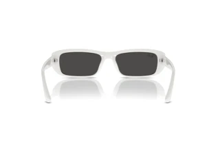 Widok z tyłu Ray-Ban RB4436D (677287)