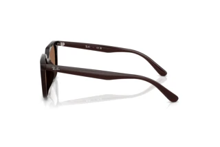 Widok z boku Ray-Ban RB4439D (623173)
