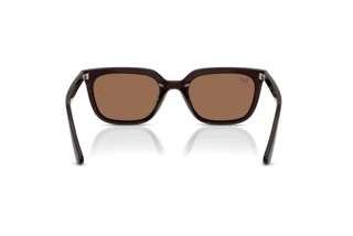 Widok z tyłu Ray-Ban RB4439D (623173)