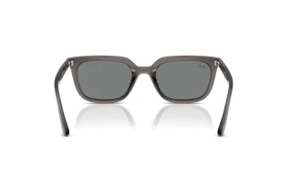 Widok z tyłu Ray-Ban RB4439D (667587)