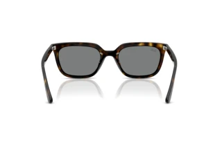 Widok z tyłu Ray-Ban RB4439D (710/87)
