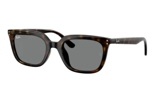 Widok z przodu Ray-Ban RB4439D (710/87)