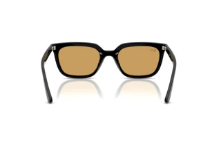 Widok z tyłu Ray-Ban RB4439D (901/73)
