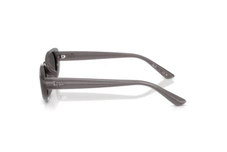 Widok z boku Ray-Ban RB4441D (677787)