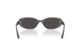 Widok z tyłu Ray-Ban RB4441D (677787)