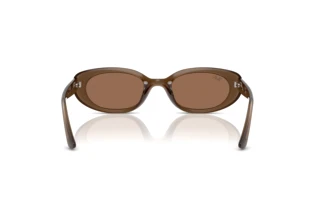 Widok z tyłu Ray-Ban RB4441D (677973)