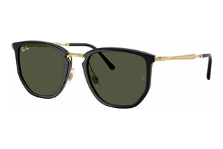 Ray-Ban RB4451 630631 GreenBlack