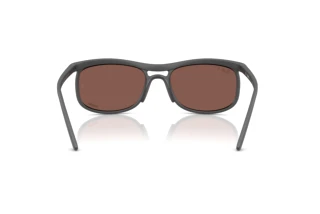 Widok z tyłu Ray-Ban RB4452CH (60171A)