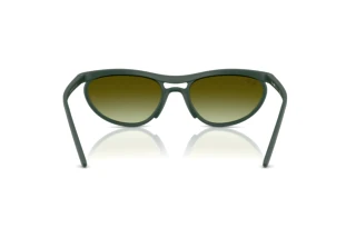 Widok z tyłu Ray-Ban RB4453 (6016E8)