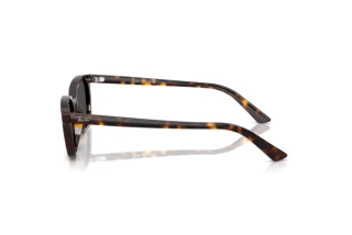 Widok z boku Ray-Ban ZAYA (RB4456 - 135987)