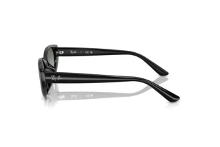 Widok z boku Ray-Ban RB4457D (667711)