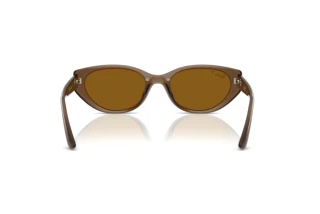 Widok z tyłu Ray-Ban RB4457D (677983)