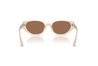 Widok z tyłu Ray-Ban RB4457D (678673)