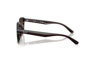 Widok z boku Ray-Ban RB4458D (714/13)