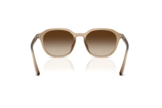 Widok z tyłu Ray-Ban RB4459D (616613)