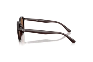 Widok z boku Ray-Ban RB4459D (623173)