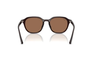 Widok z tyłu Ray-Ban RB4459D (623173)