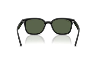 Widok z tyłu Ray-Ban RB4461D (601/71)