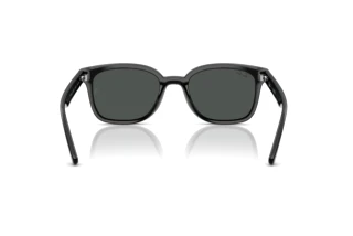Widok z tyłu Ray-Ban RB4461D (601/87)