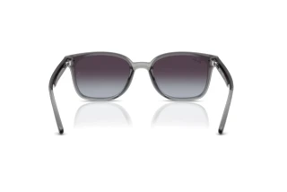 Widok z tyłu Ray-Ban RB4461D (64508G)