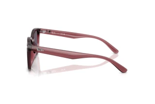 Widok z boku Ray-Ban RB4461D (659373)