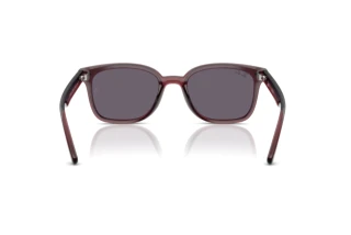 Widok z tyłu Ray-Ban RB4461D (659373)