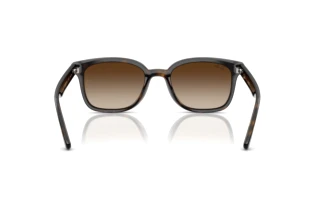 Widok z tyłu Ray-Ban RB4461D (710/13)