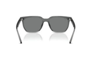 Widok z tyłu Ray-Ban RB4466D (645087)