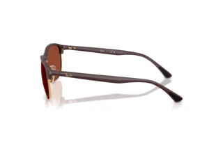 Widok z boku Ray-Ban RB4469 (64451B)