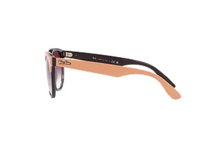 Widok z boku Ray-Ban IRIS (RB4471 - 66338H)