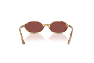 Widok z tyłu Ray-Ban RB4472 (685675)