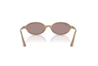 Widok z tyłu Ray-Ban RB4472 (6891LA)