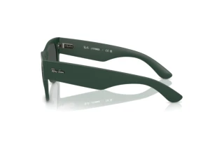 Widok z boku Ray-Ban RB4840S (665787)